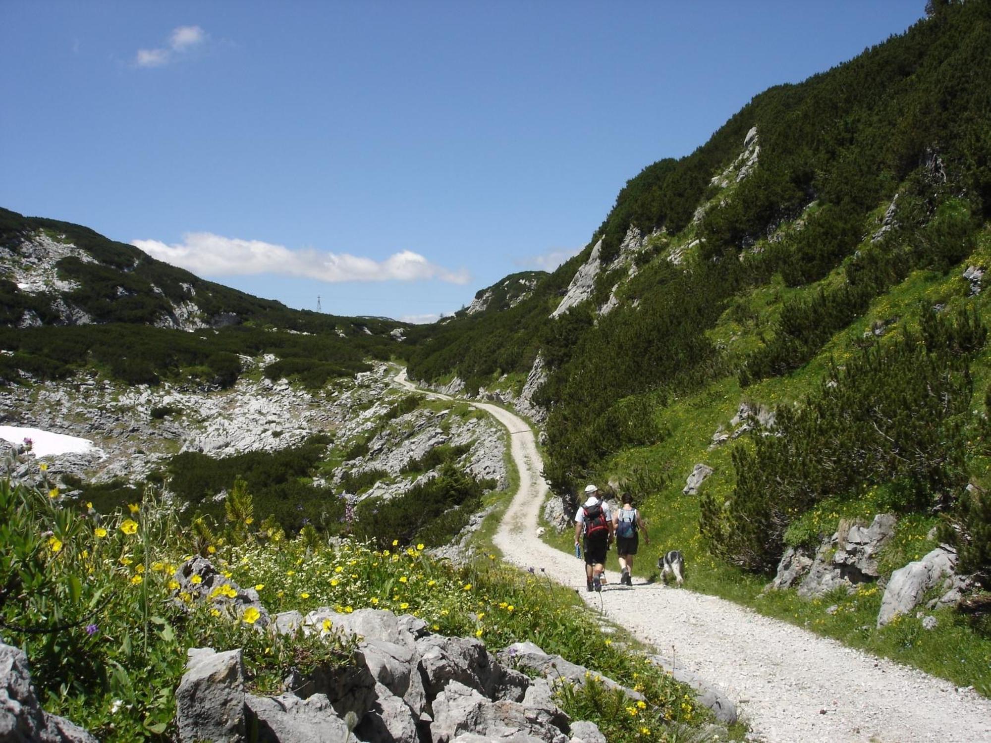 Wohlfuehlhotel Goiserer Muehle Hotel Bad Goisern